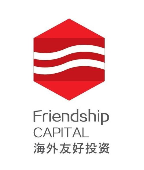 廣東海外友好投資管理 專業服務與未來展望