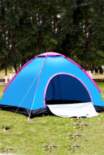 帳篷 戶外生活的移動(dòng)庇護(hù)所